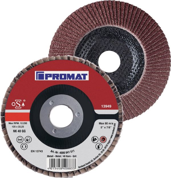PROMAT  Ø 125 mm Körnung 80 gekröpft Fächerscheibe