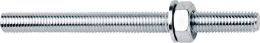 APOLO MEA RESI AST Ø 12 mm Länge 170 mm Ankerstange